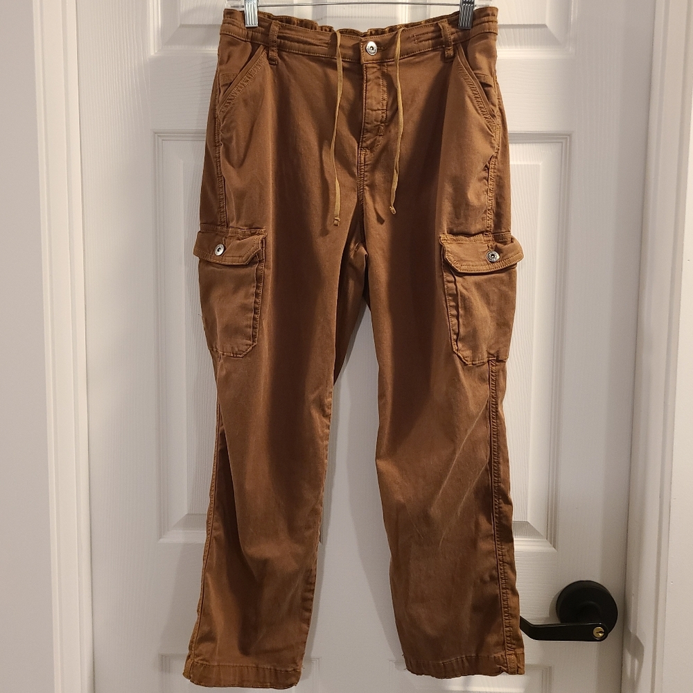 Womens Kuhl Kultivatr Pants Size: 10 Color: Rust Brown